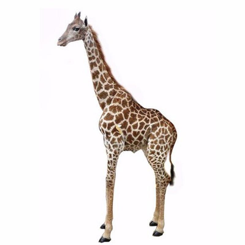 Young Giraffe Full Mount For Sale. YG1