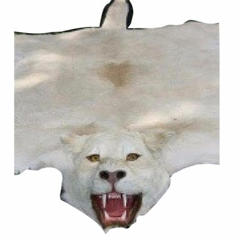 Young Lion Rug Mount YLR1