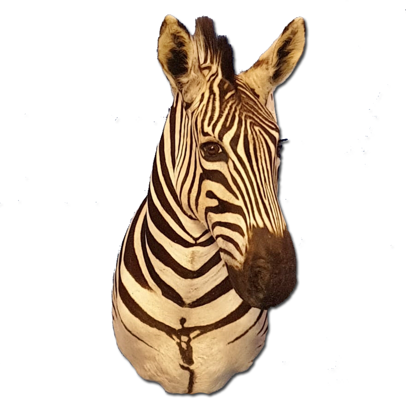 Zebra Shoulder Mount - ZSM103 - Image 2