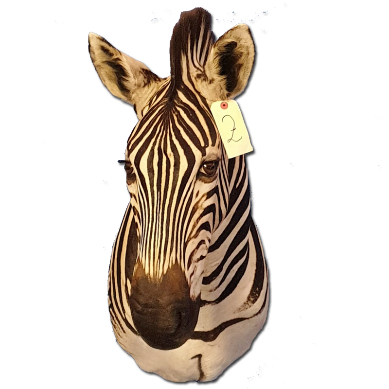 Zebra Shoulder Mount - ZSM102 - Image 3