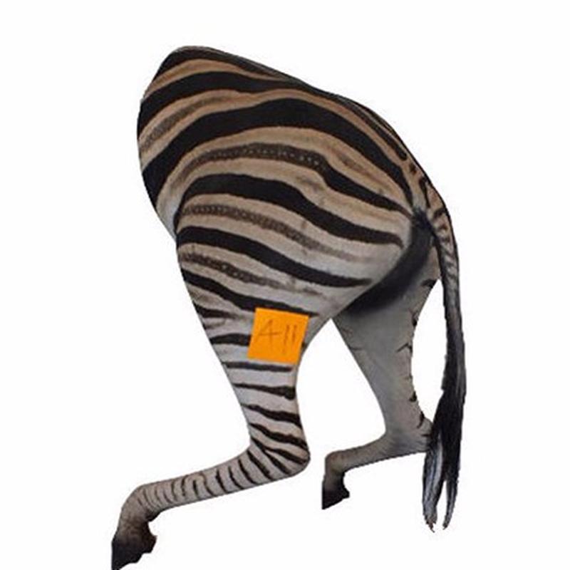 Zebra Back Mount For Sale A11