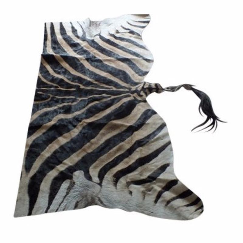 Zebra Back Skin ZBS1