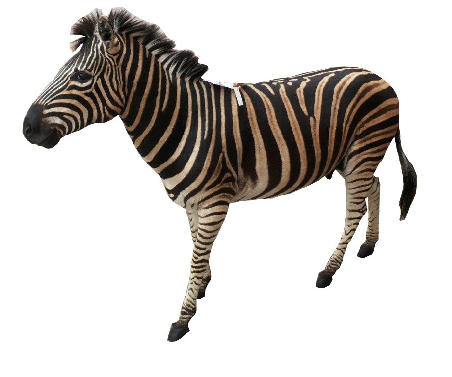 Zebra Full Mount Side ZFS1 - Image 2