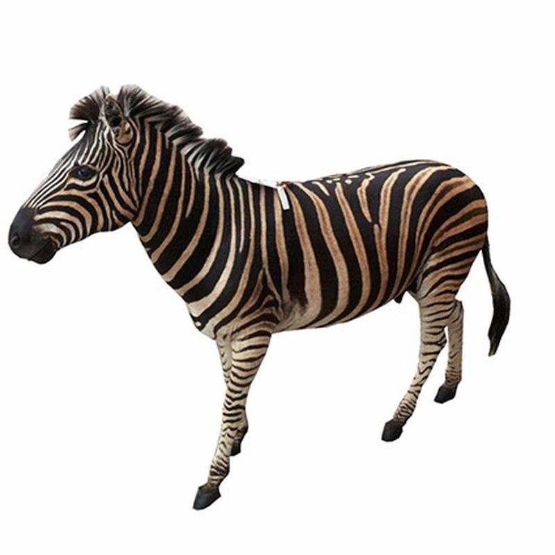Zebra Full Mount Side ZFS1