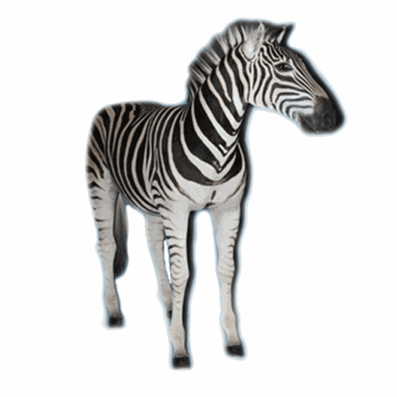 Zebra Full Mount ZB12 - Image 3
