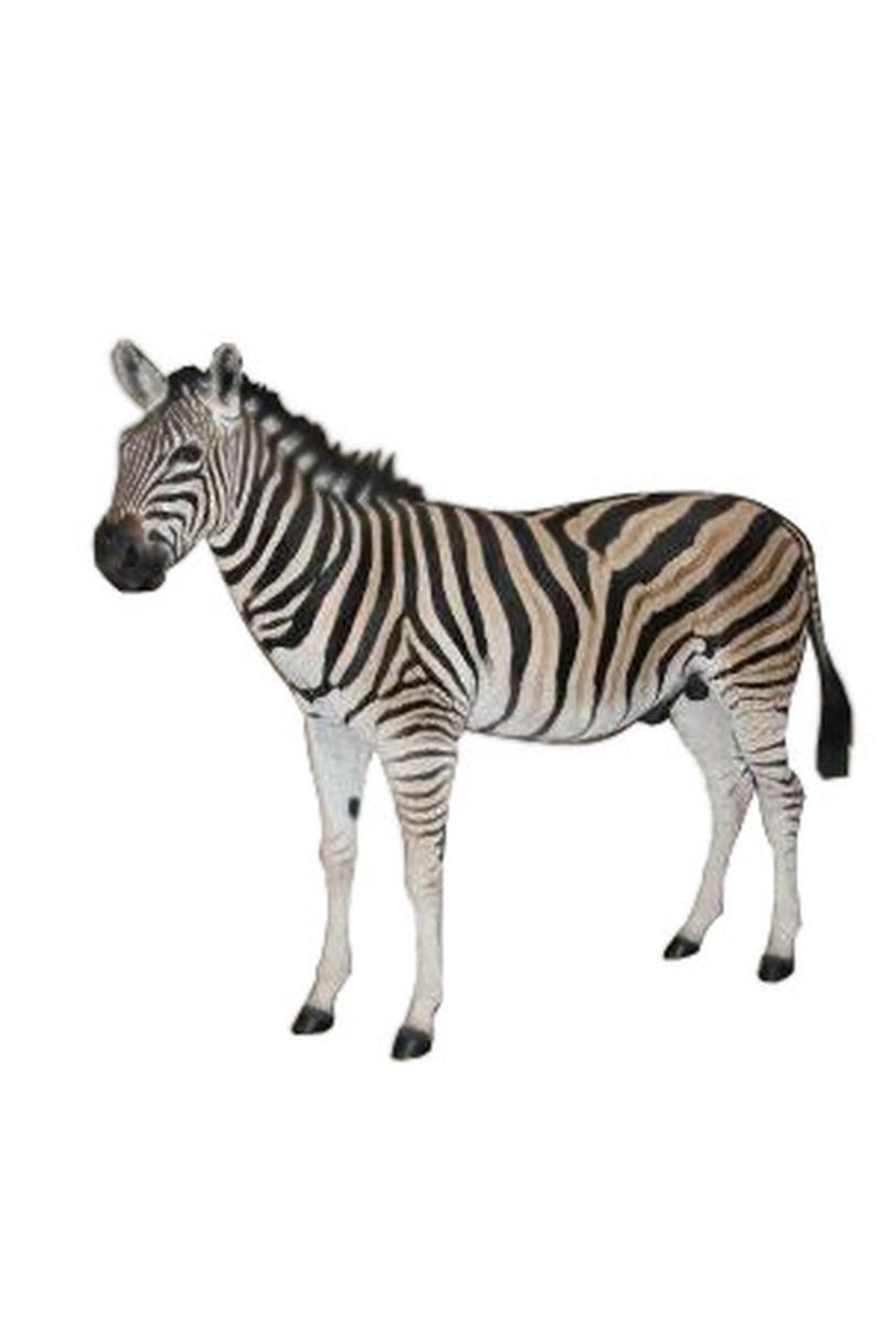 Zebra Full Mount - ZFM003 - Image 2