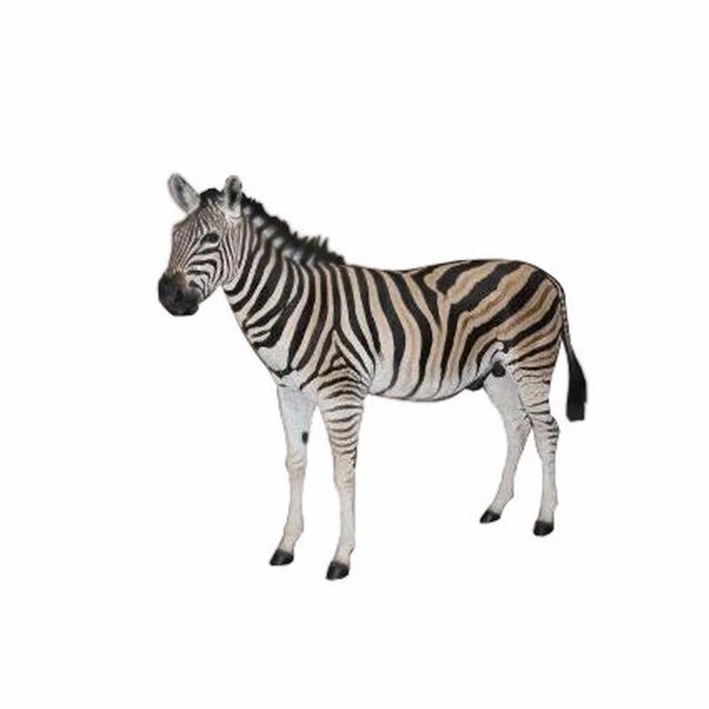 Zebra Full Mount - ZFM003