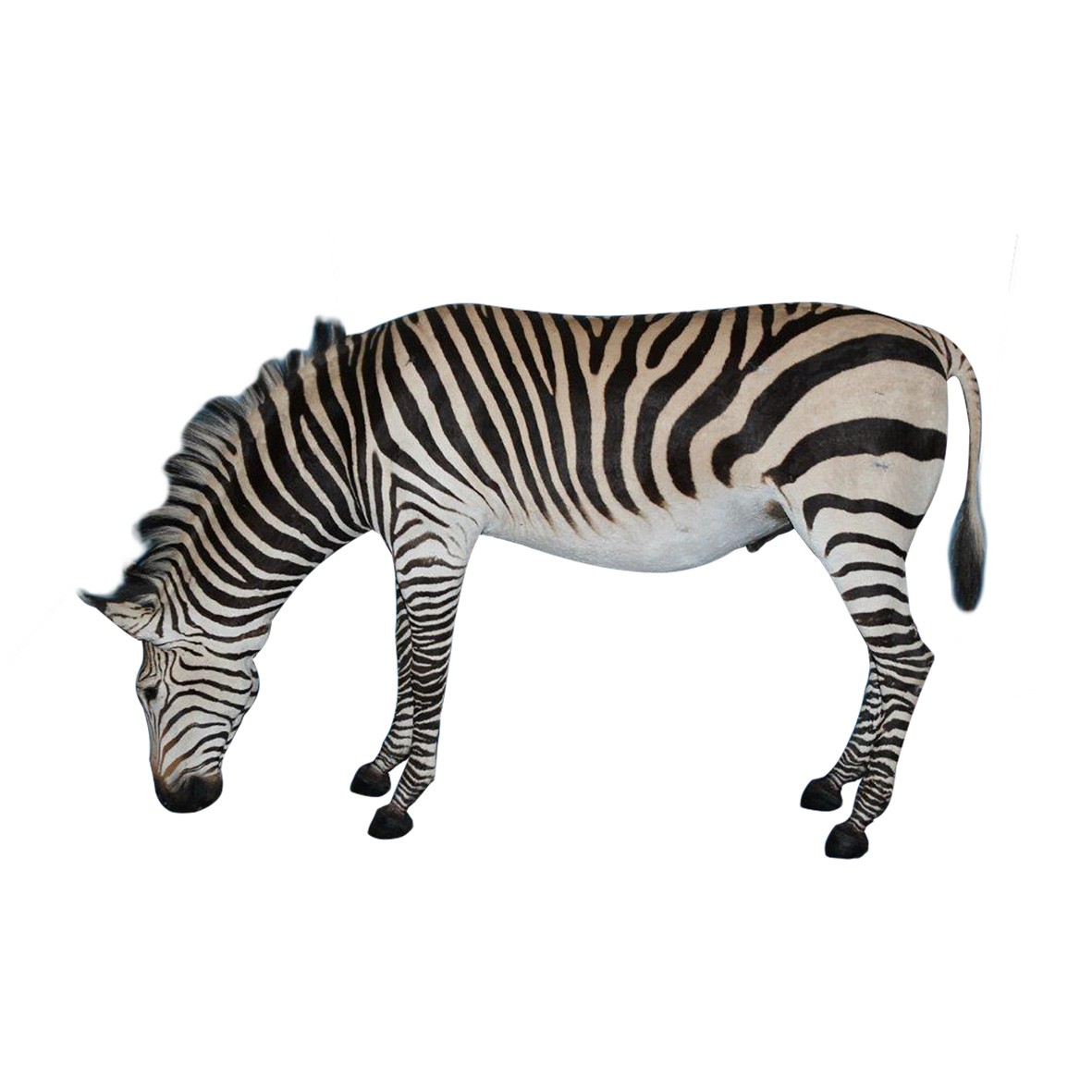 ZEBRA FULL MOUNT ZFM56 - Image 2