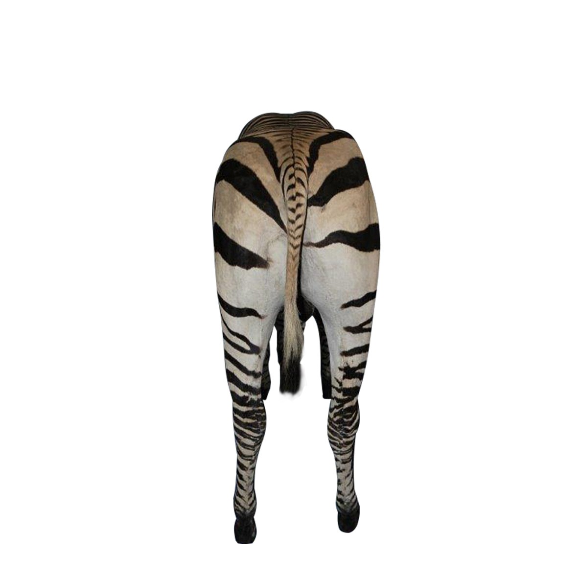 ZEBRA FULL MOUNT ZFM56 - Image 3