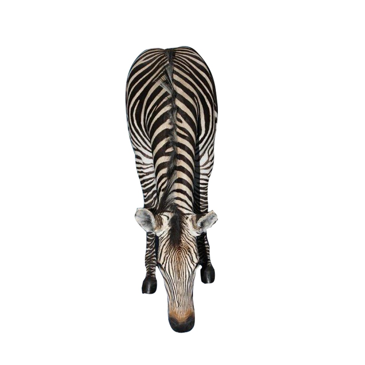 ZEBRA FULL MOUNT ZFM56 - Image 4