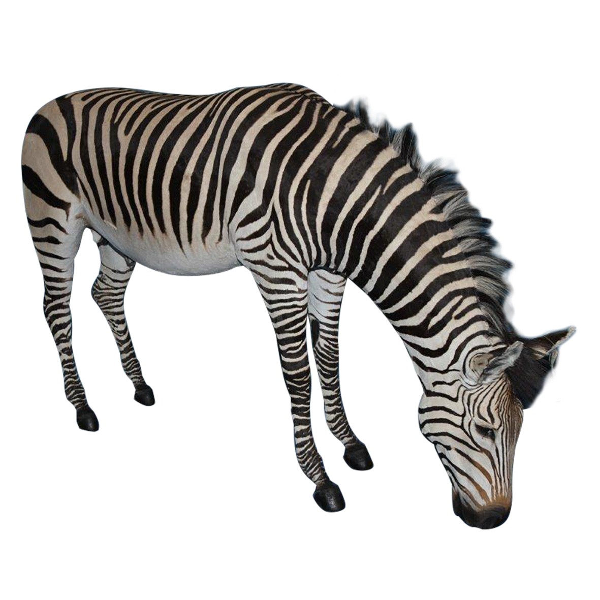 ZEBRA FULL MOUNT ZFM56