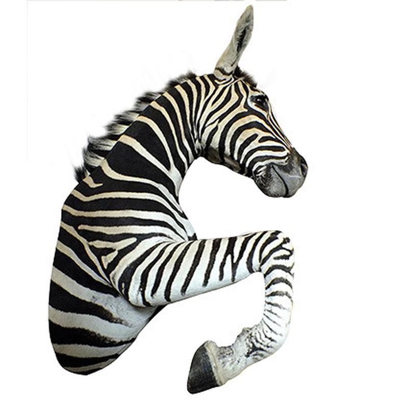 Zebra Half Mount - 1 - Image 2