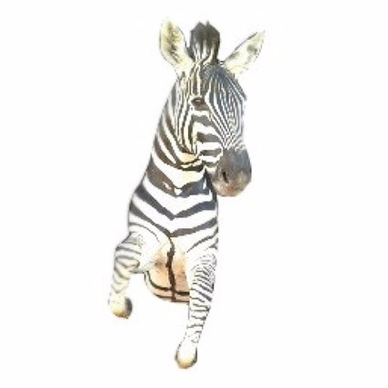 Zebra Half Mount - 1 - Image 3
