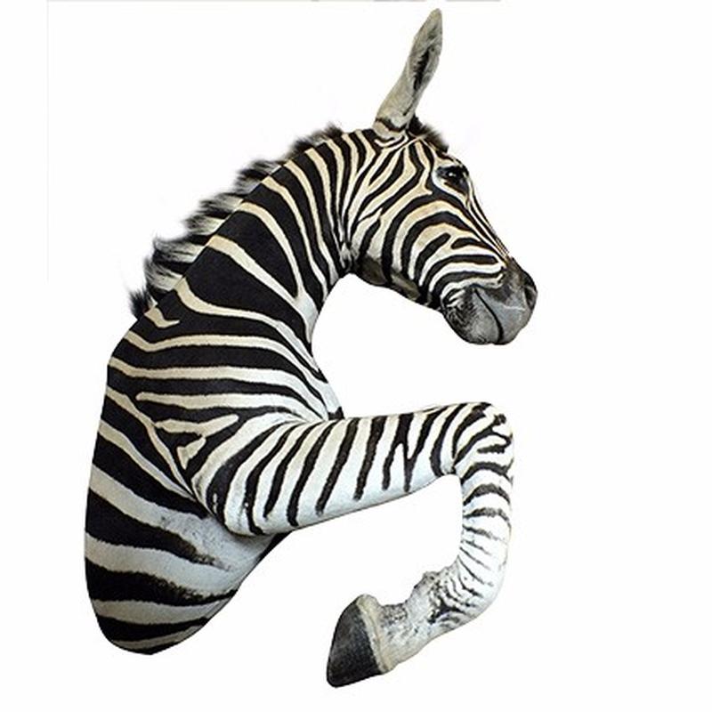 Zebra Half Mount - 1