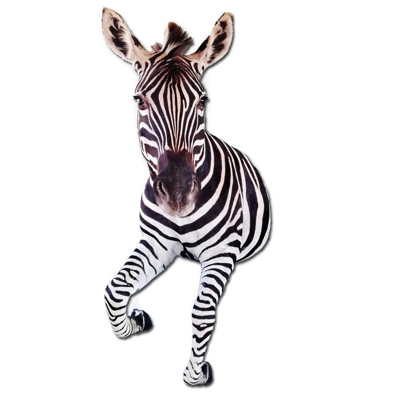 Zebra Half Mount - ZHM102 - Image 2