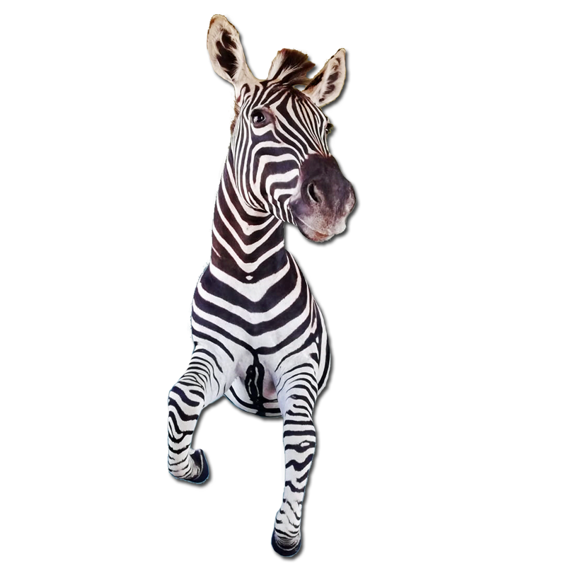 Zebra Half Mount - ZHM102 - Image 3