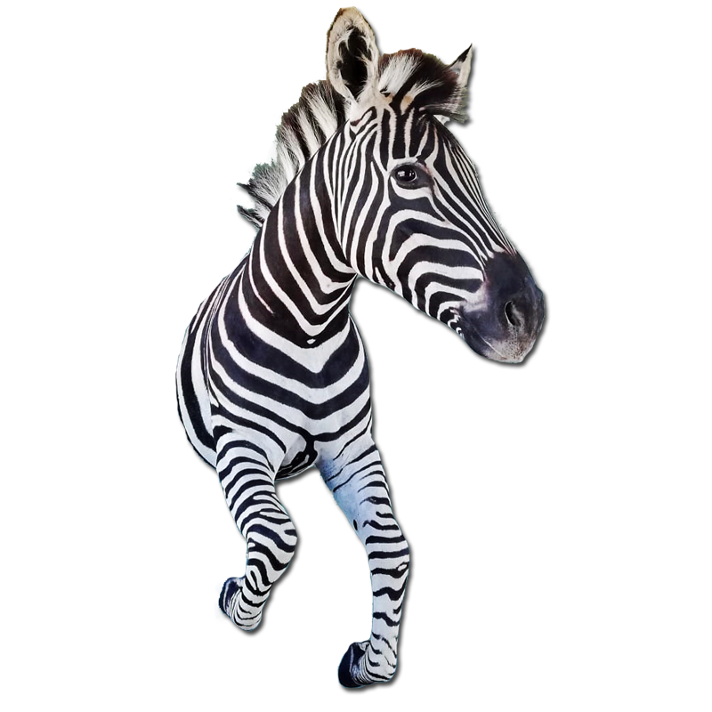Zebra Half Mount - ZHM102 - Image 4