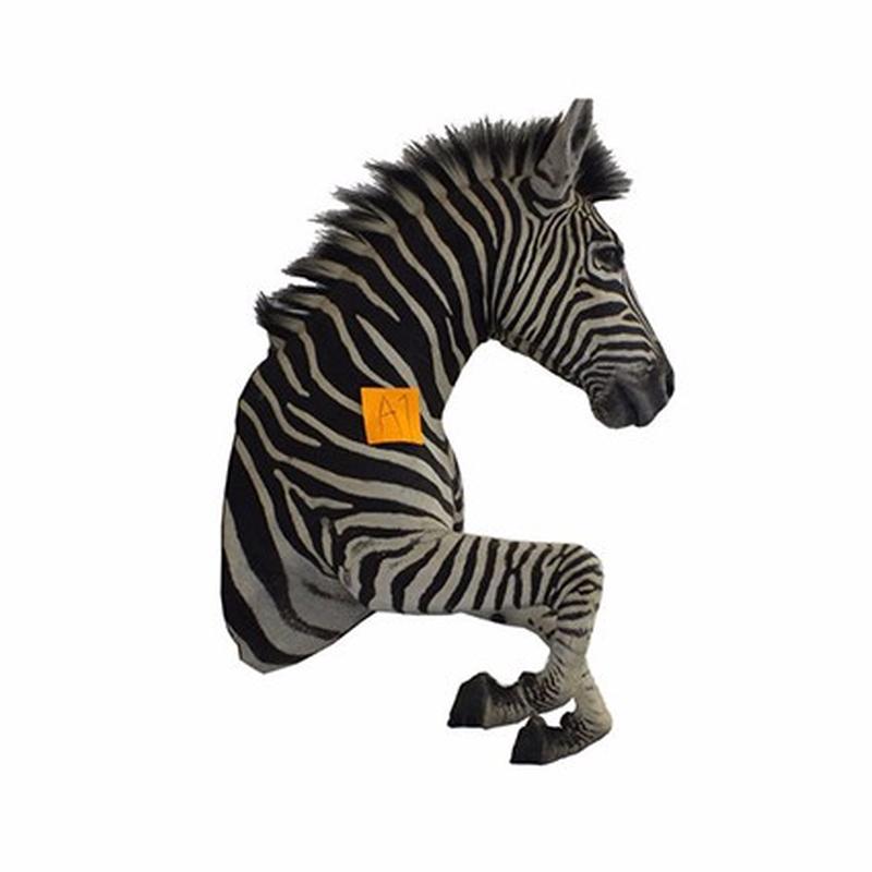 Zebra Half Mount For Sale A1