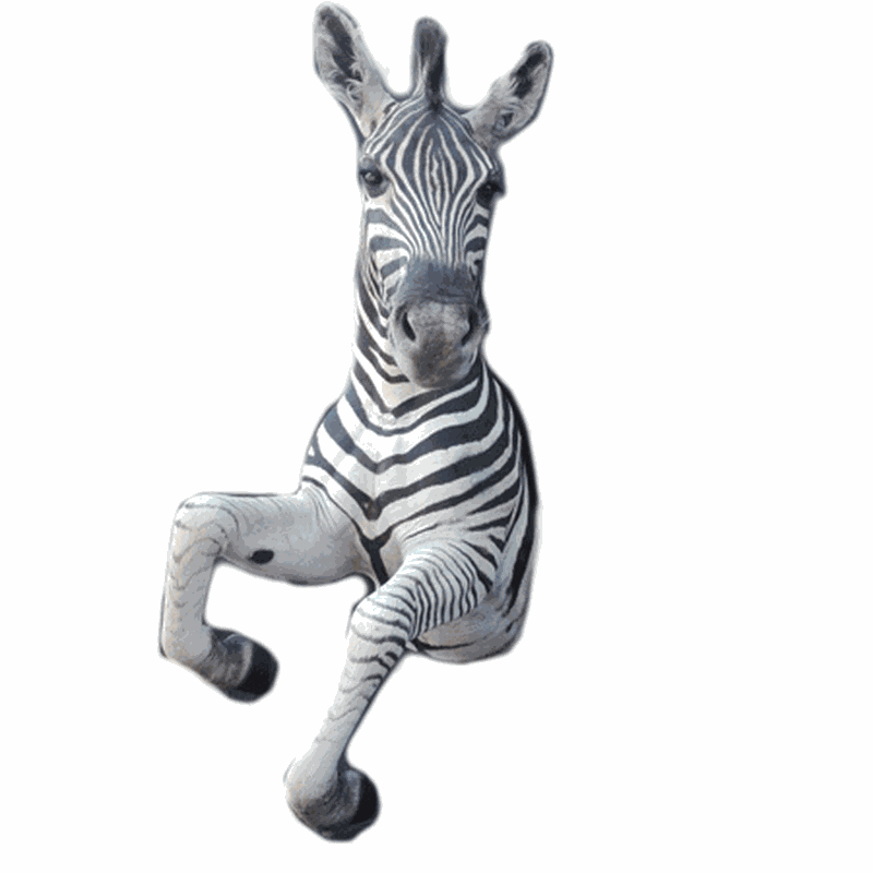 Zebra Half Mount TDZ1 - Image 2