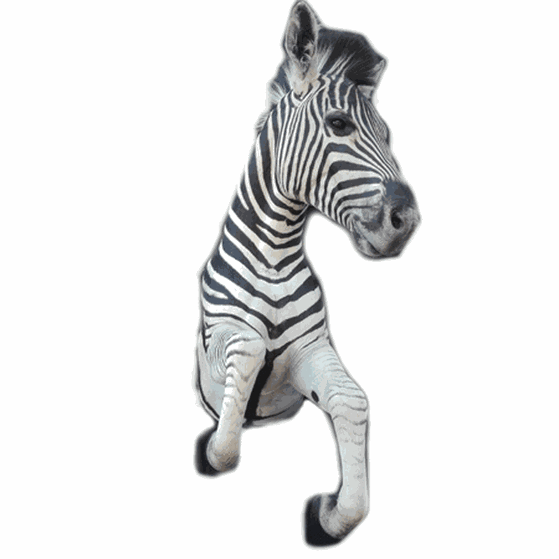 Zebra Half Mount TDZ1 - Image 4