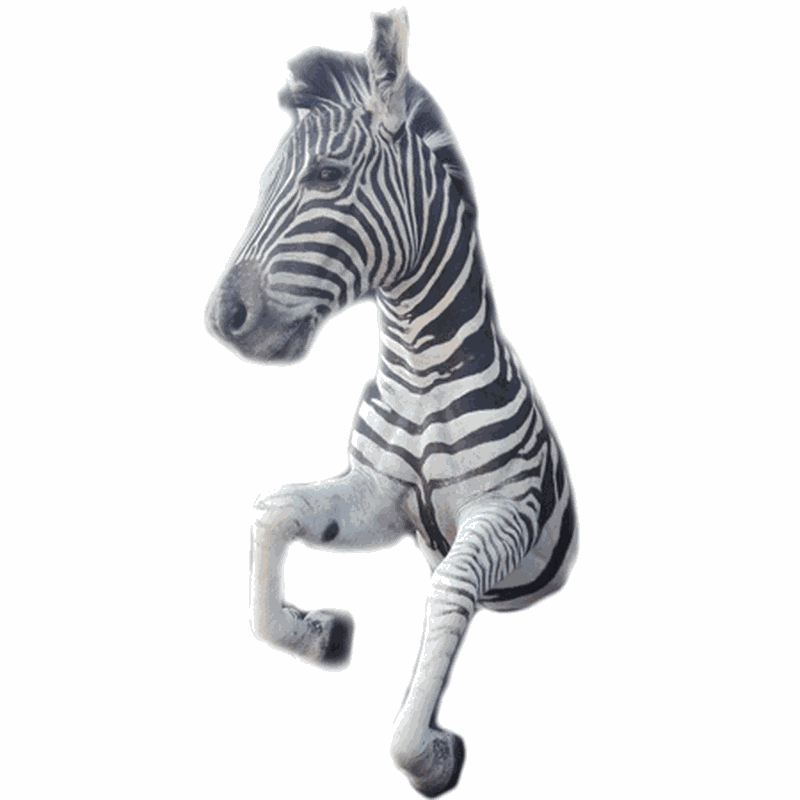 Zebra Half Mount TDZ2 - Image 3