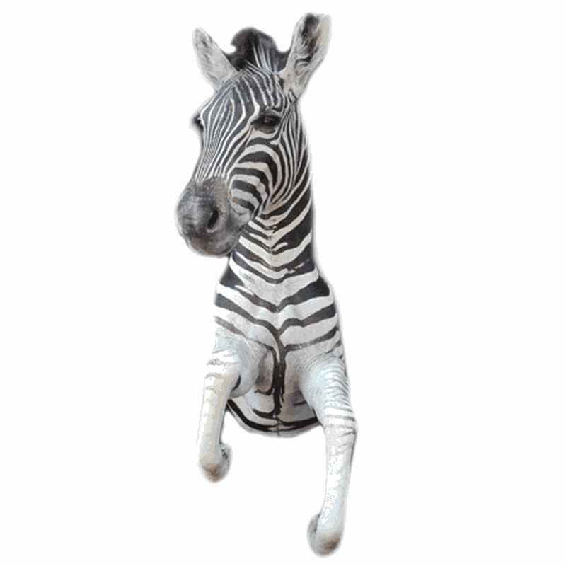 Zebra Half Mount TDZ2 - Image 4
