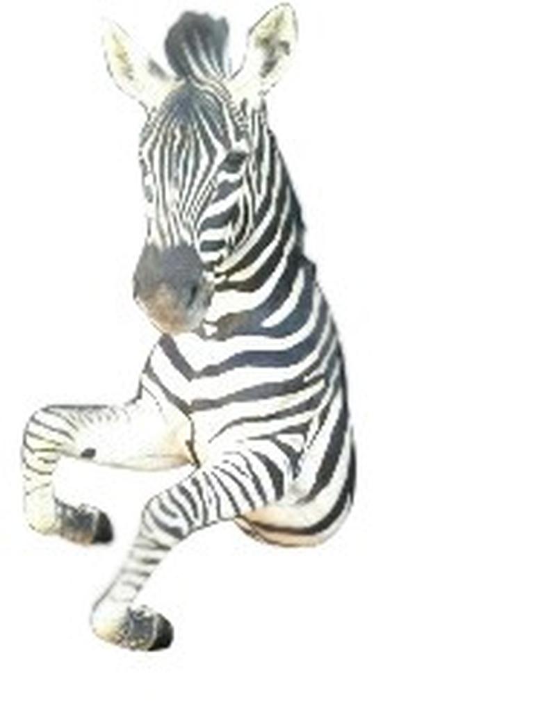 Zebra Half Mount - ZHM02 - Image 2