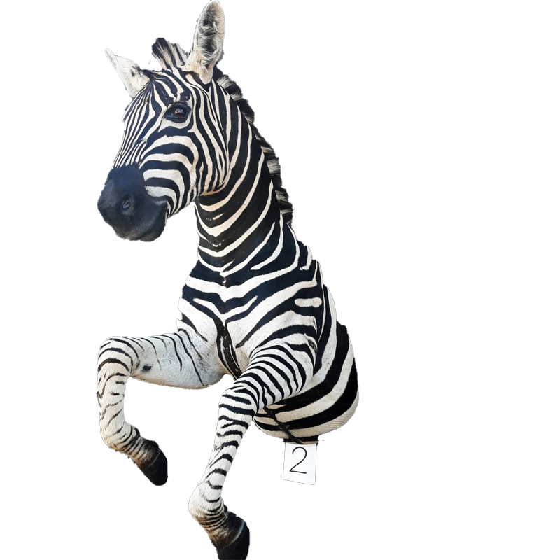 Zebra Half Mount - ZHM103 - Image 2