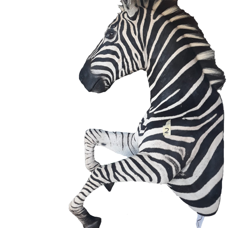 Zebra Half Mount - ZHM103