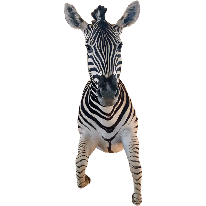 Zebra Half Mount - ZHM104 - Image 2