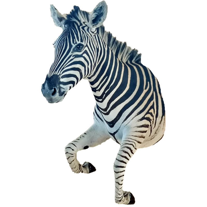 Zebra Half Mount - ZHM104 - Image 3