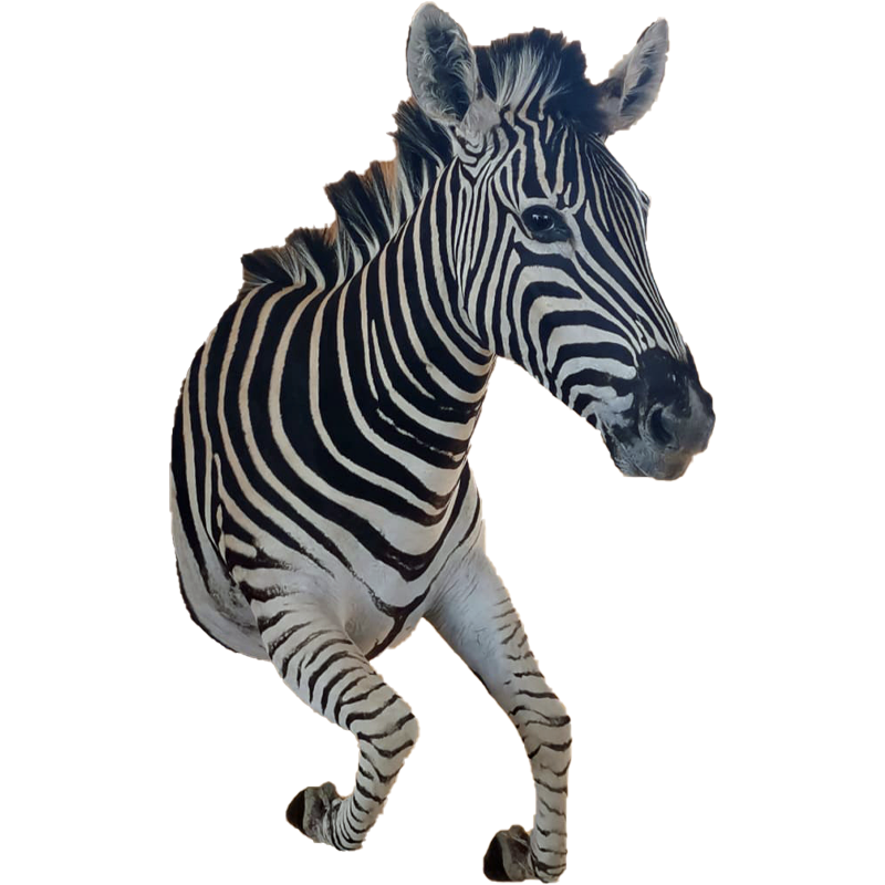 Zebra Half Mount - ZHM104