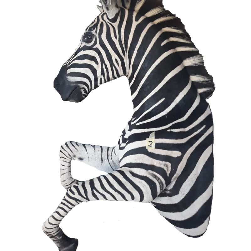 Zebra Half Mount - ZHM105 - Image 2