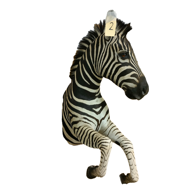 Zebra Half Mount - ZHM105 - Image 3