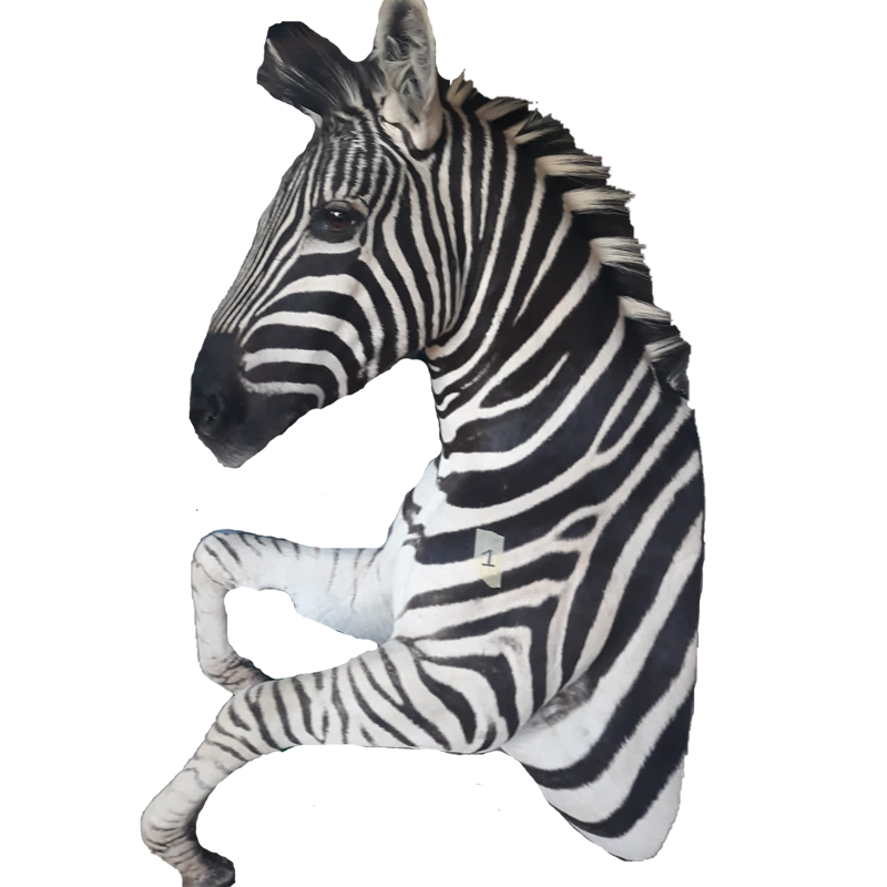 Zebra Half Mount - ZHM105