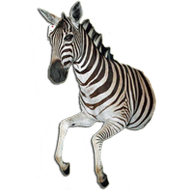Zebra Half Mount - ZHM23 - Image 3