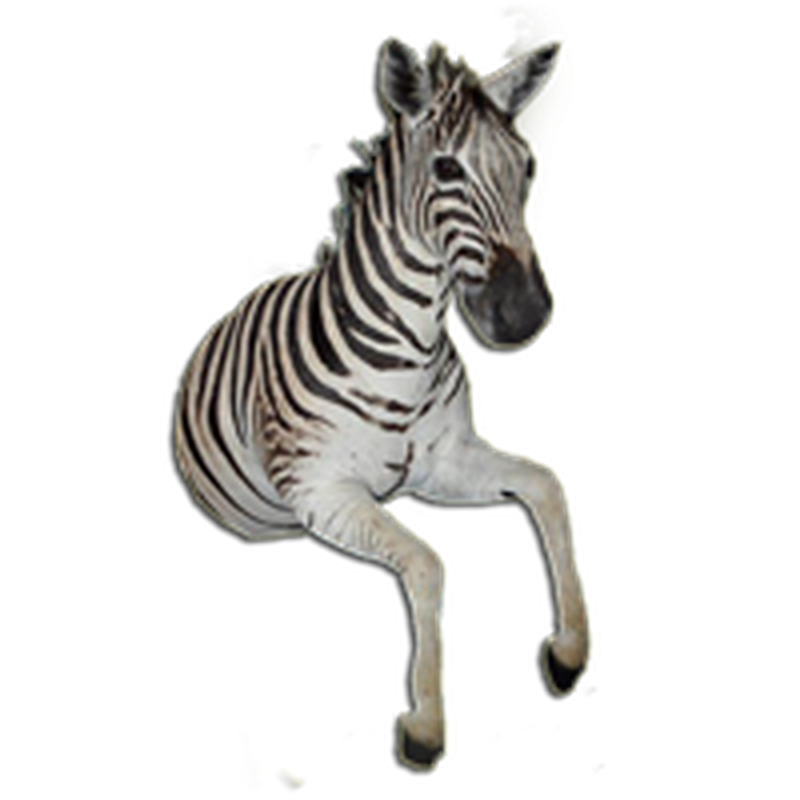 Zebra Half Mount - ZHM23 - Image 4