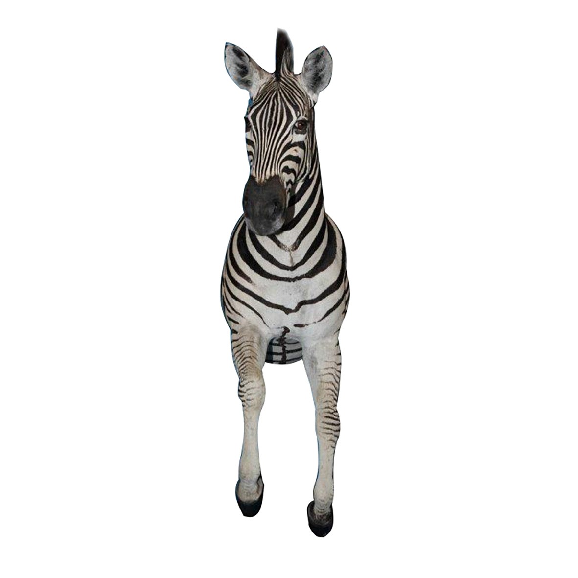 ZEBRA HALF MOUNT ZHM55A - Image 2