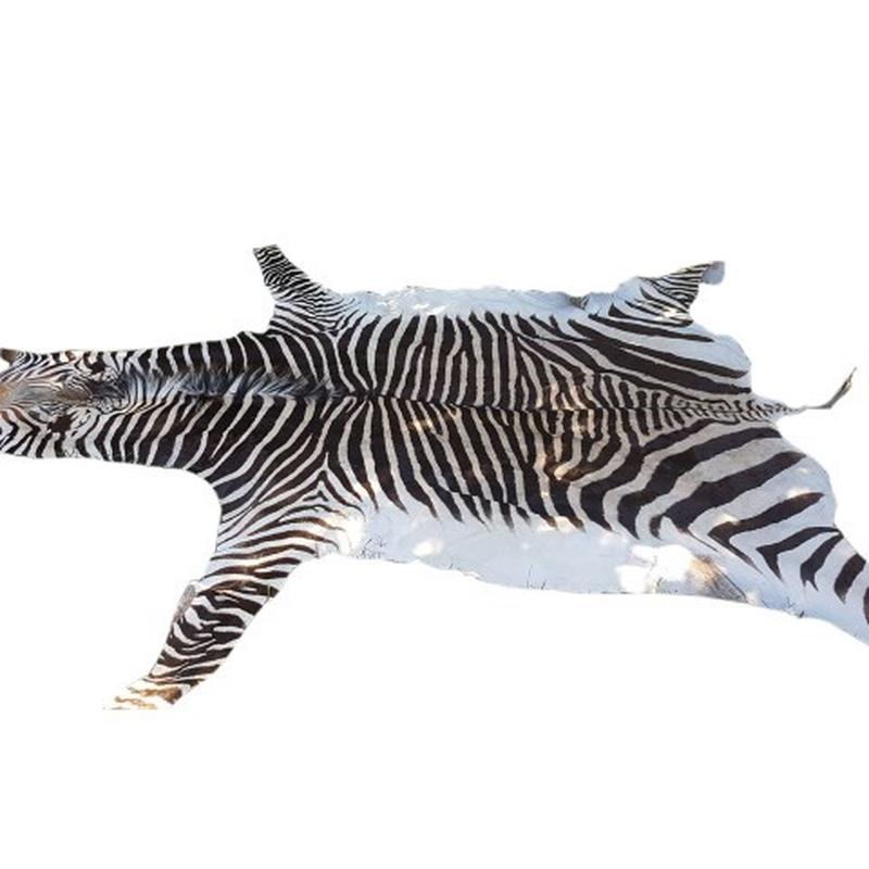 Zebra Hartman Skin B1 - Image 2