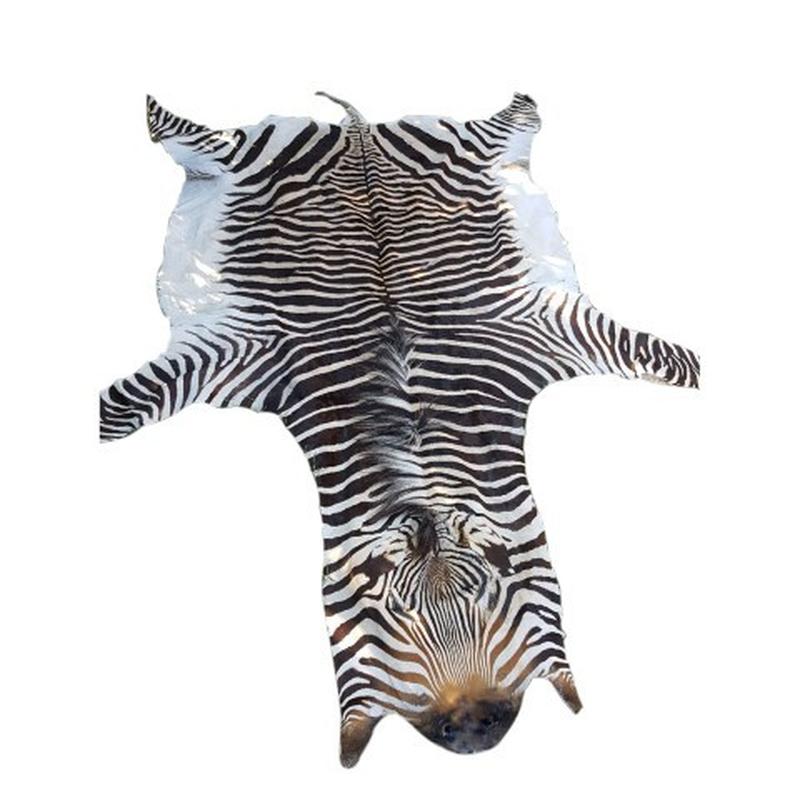 Zebra Hartman Skin B1 - Image 3