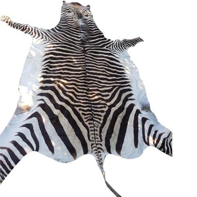 Zebra Hartman Skin B1 - Image 4