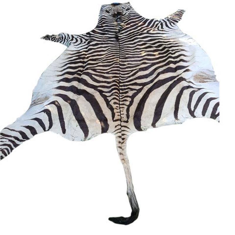 Zebra Hartman Skin B10 - Image 2