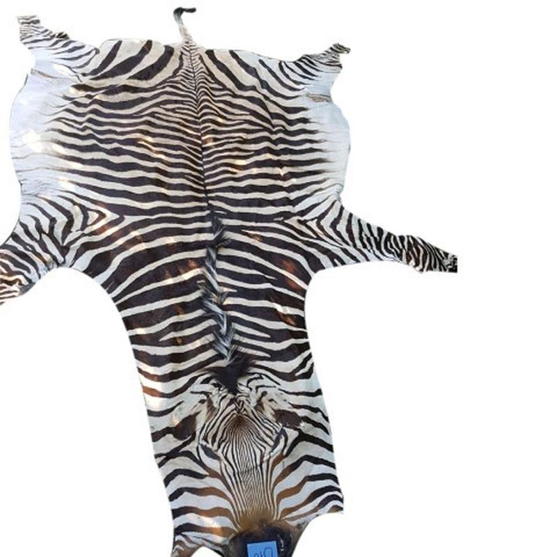 Zebra Hartman Skin B10 - Image 3