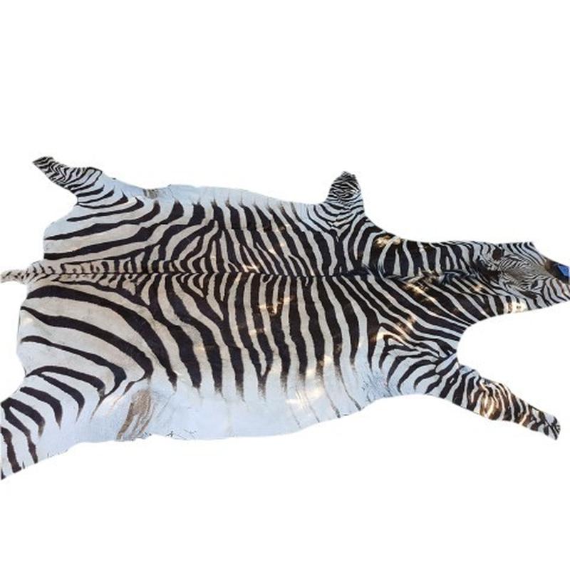 Zebra Hartman Skin B10 - Image 4