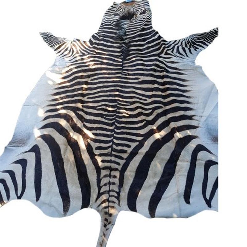 Zebra Hartman Skin B2 - Image 2