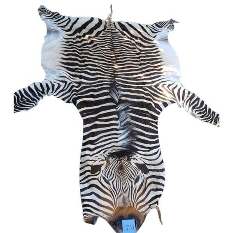 Zebra Hartman Skin B2 - Image 3