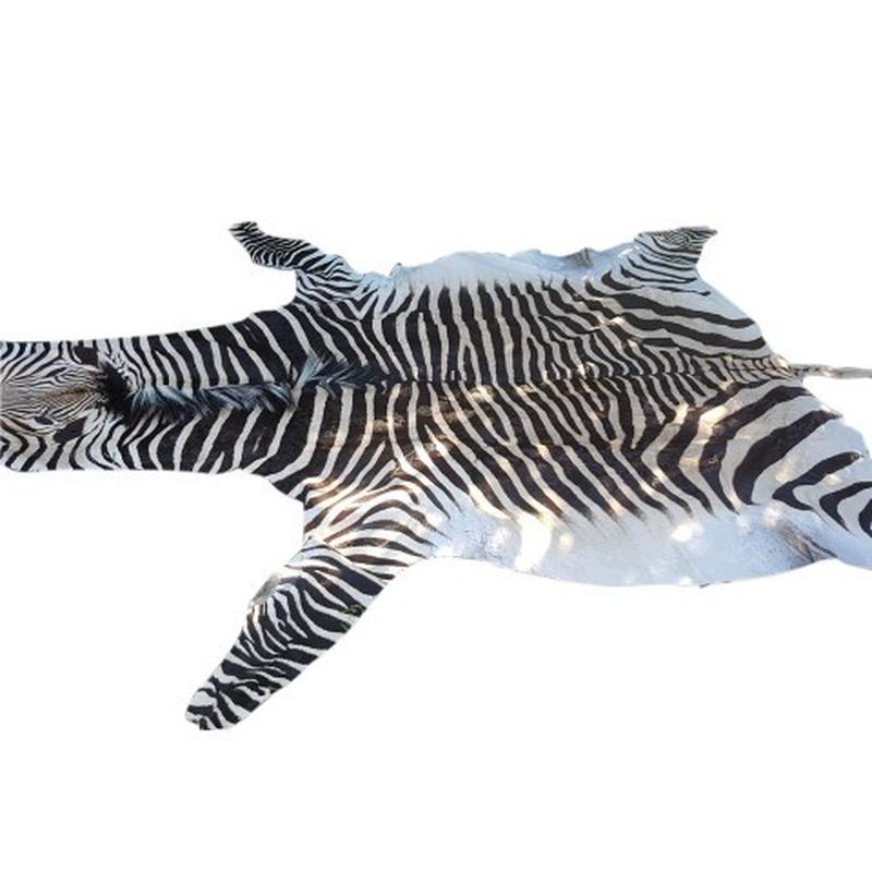 Zebra Hartman Skin B2 - Image 4