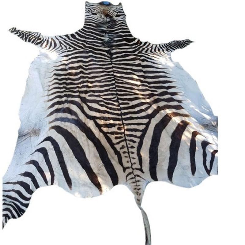 Zebra Hartman Skin B5 - Image 2