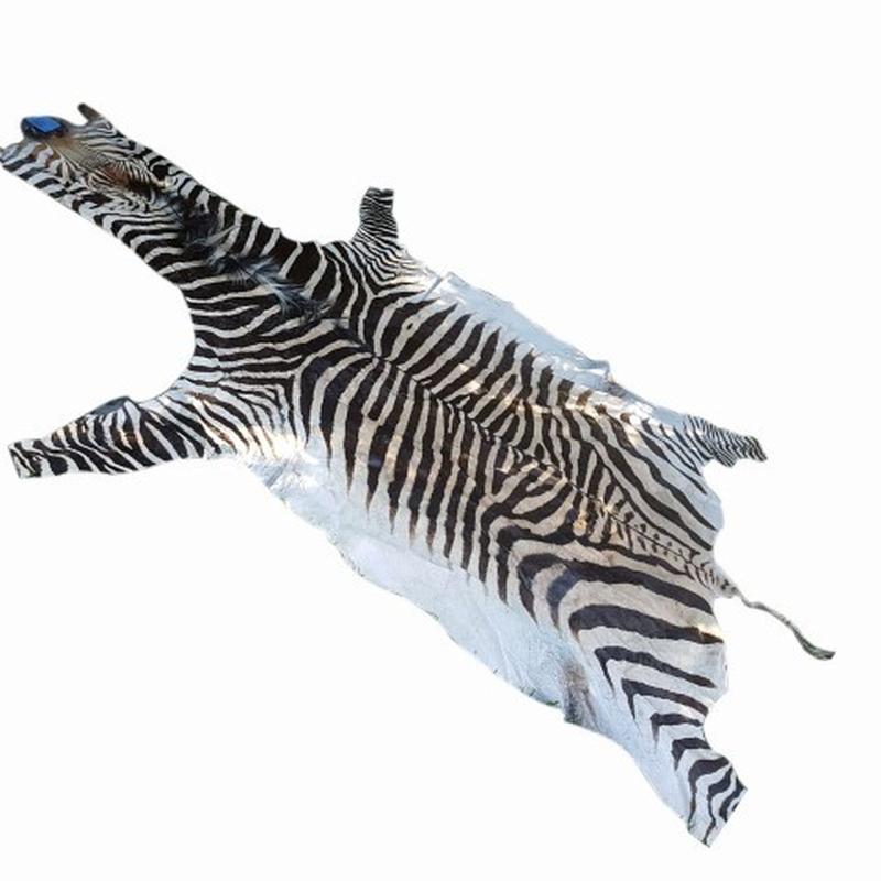 Zebra Hartman Skin B5 - Image 4