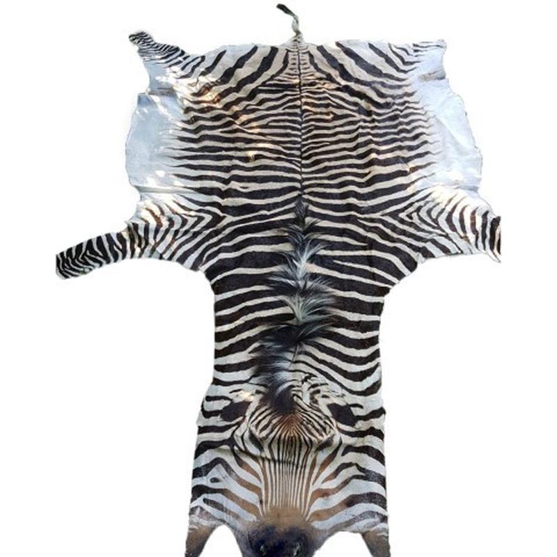 Zebra Hartman Skin B5